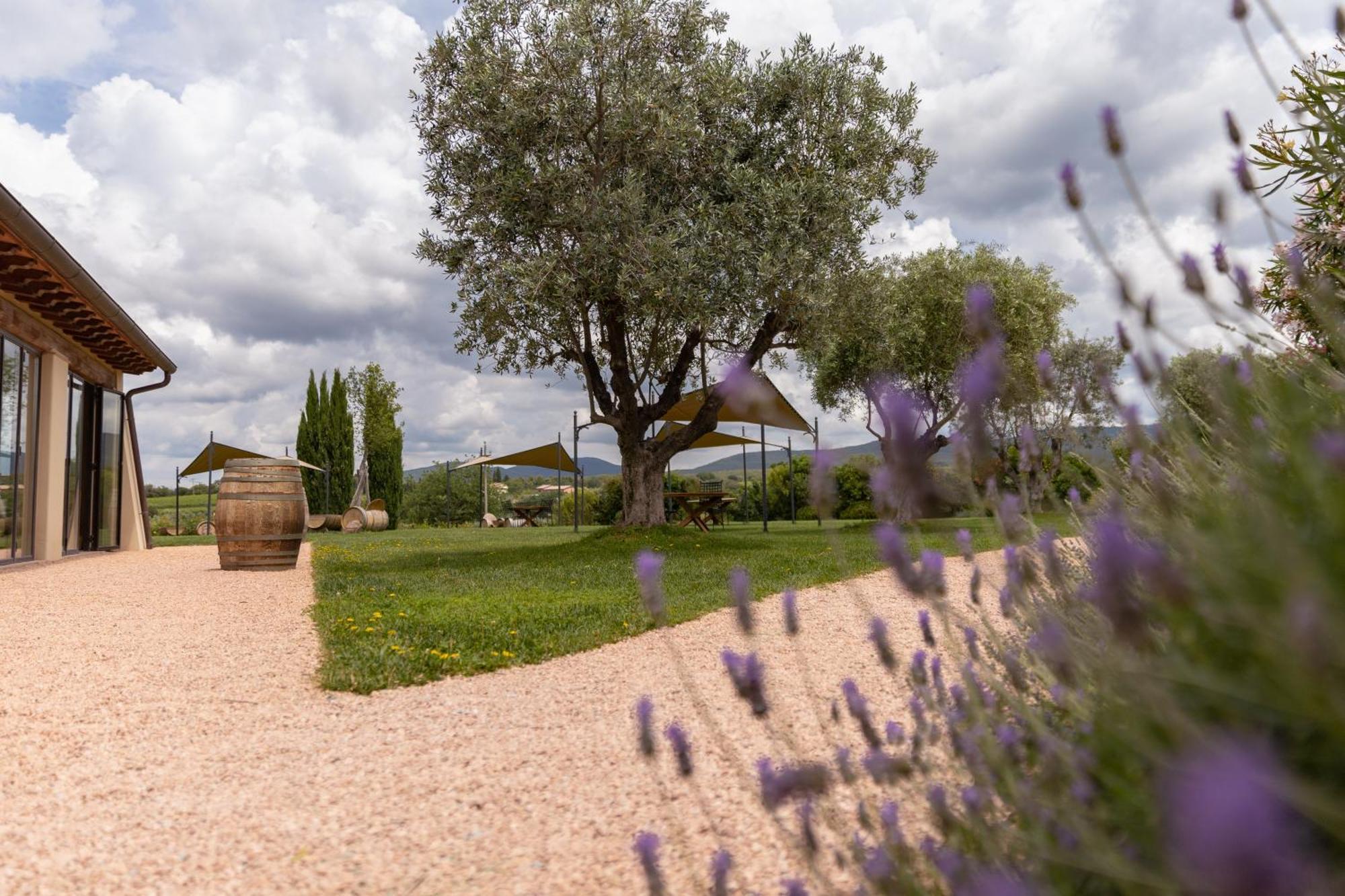 Locanda dell'Aioncino Bibbona Esterno foto